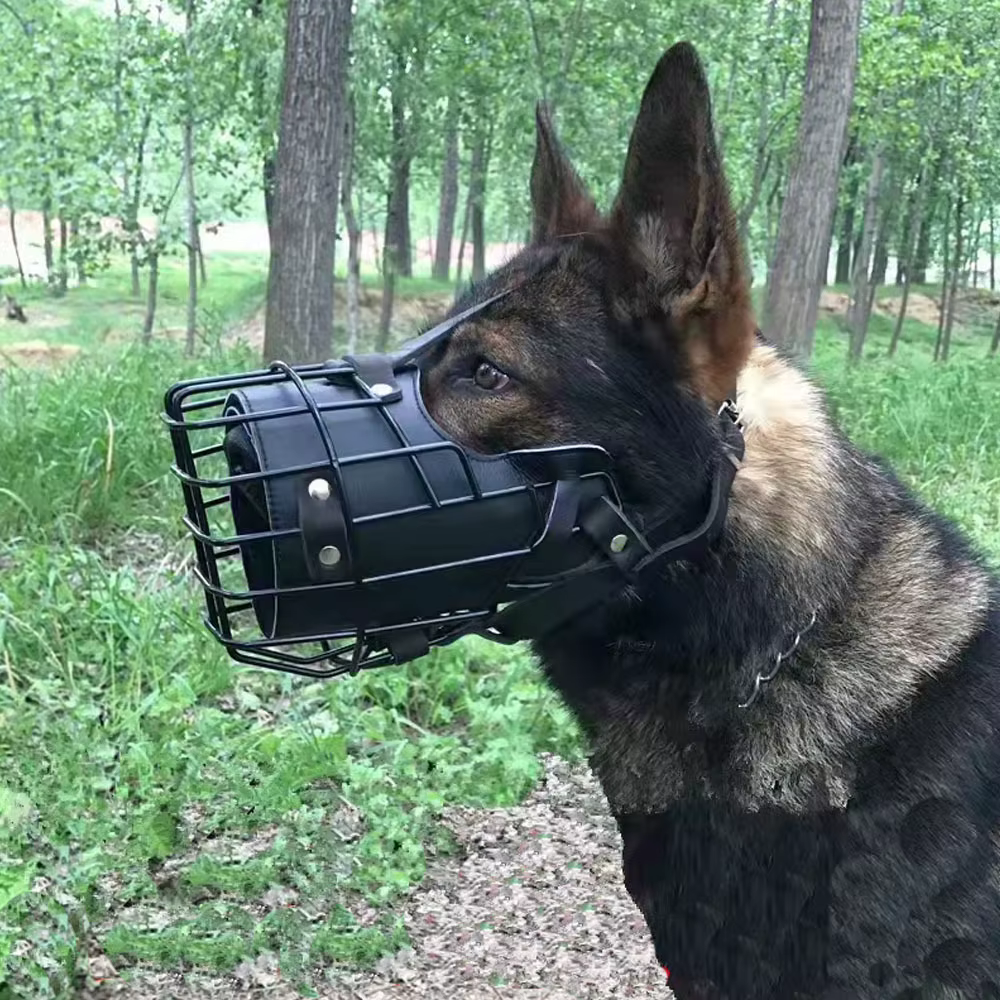 MUSELIERE POUR CHIEN