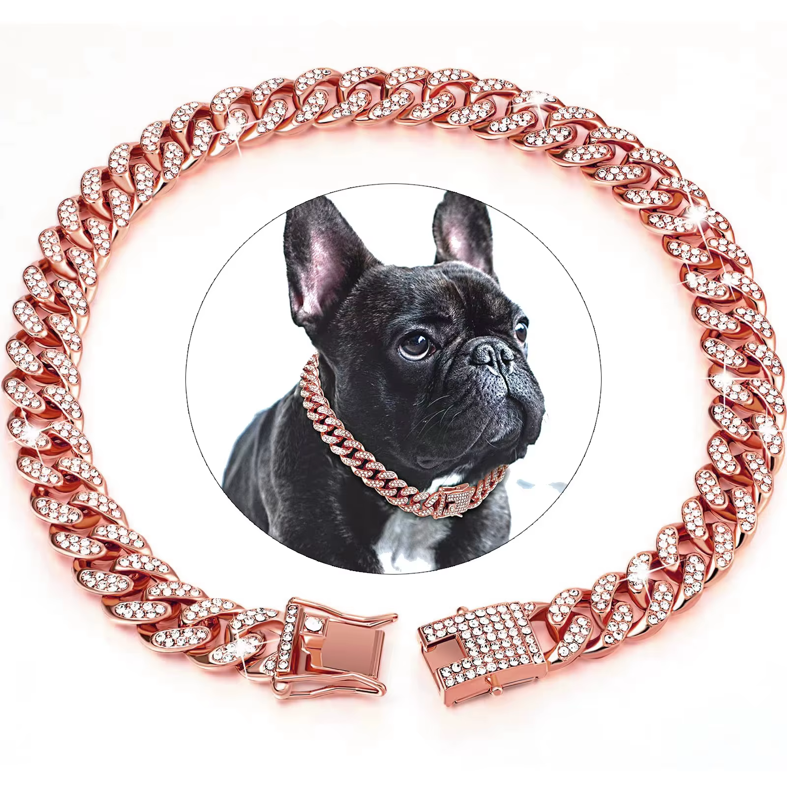 collier bijoux pour chien