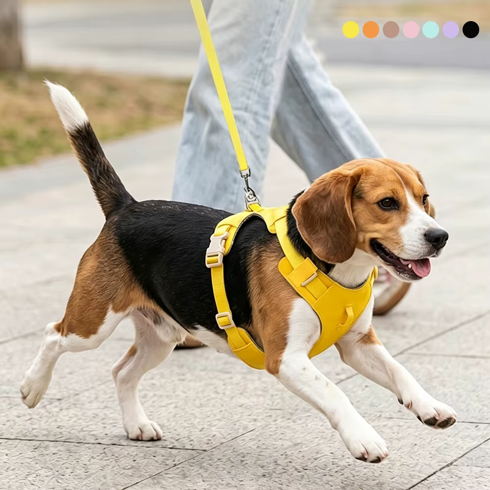 Harnais Confort & Laisse pour Chien — Léger et Ajustable