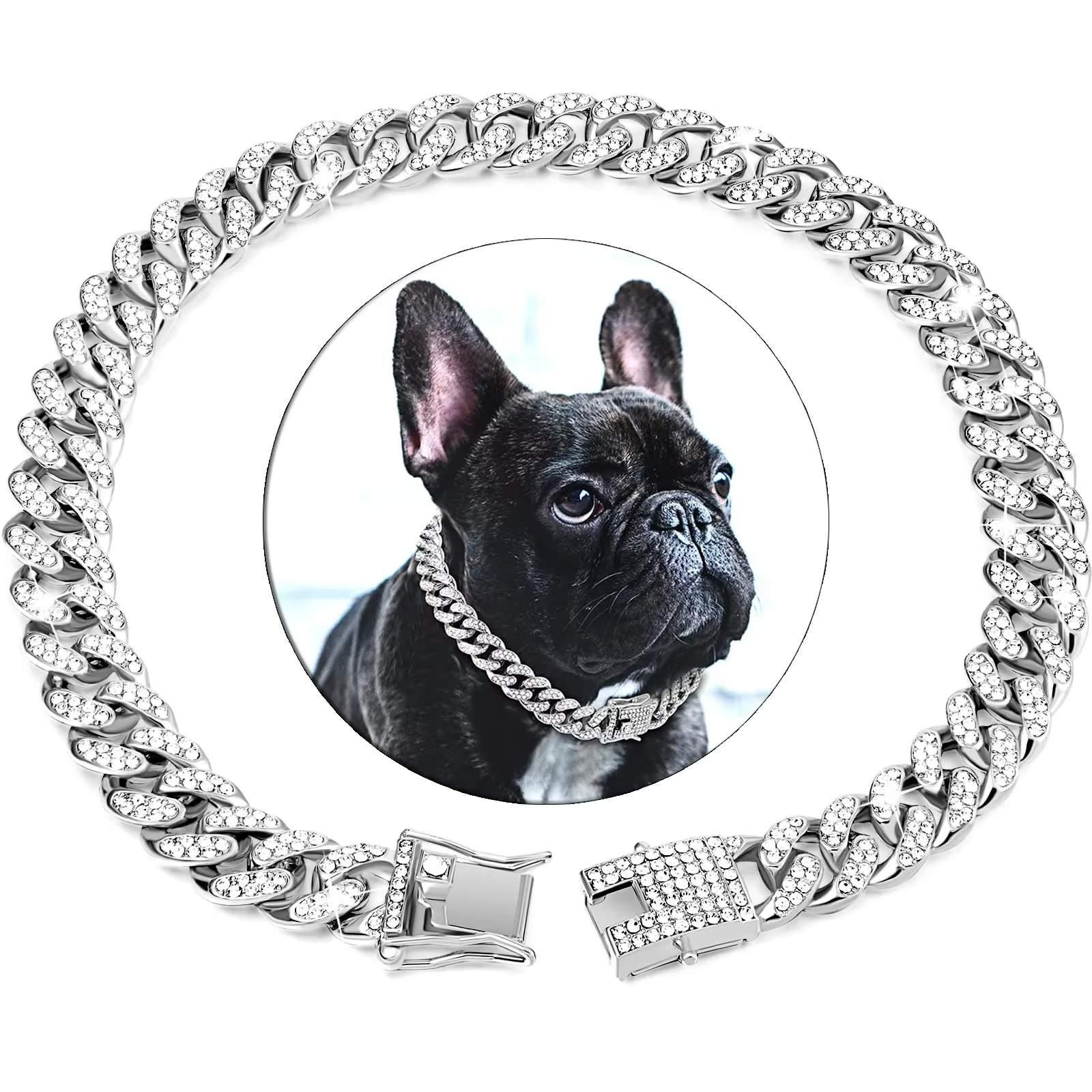 collier bijoux pour chien