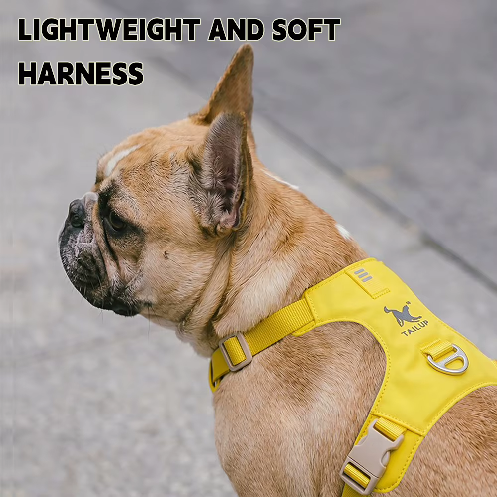 Harnais Confort & Laisse pour Chien — Léger et Ajustable