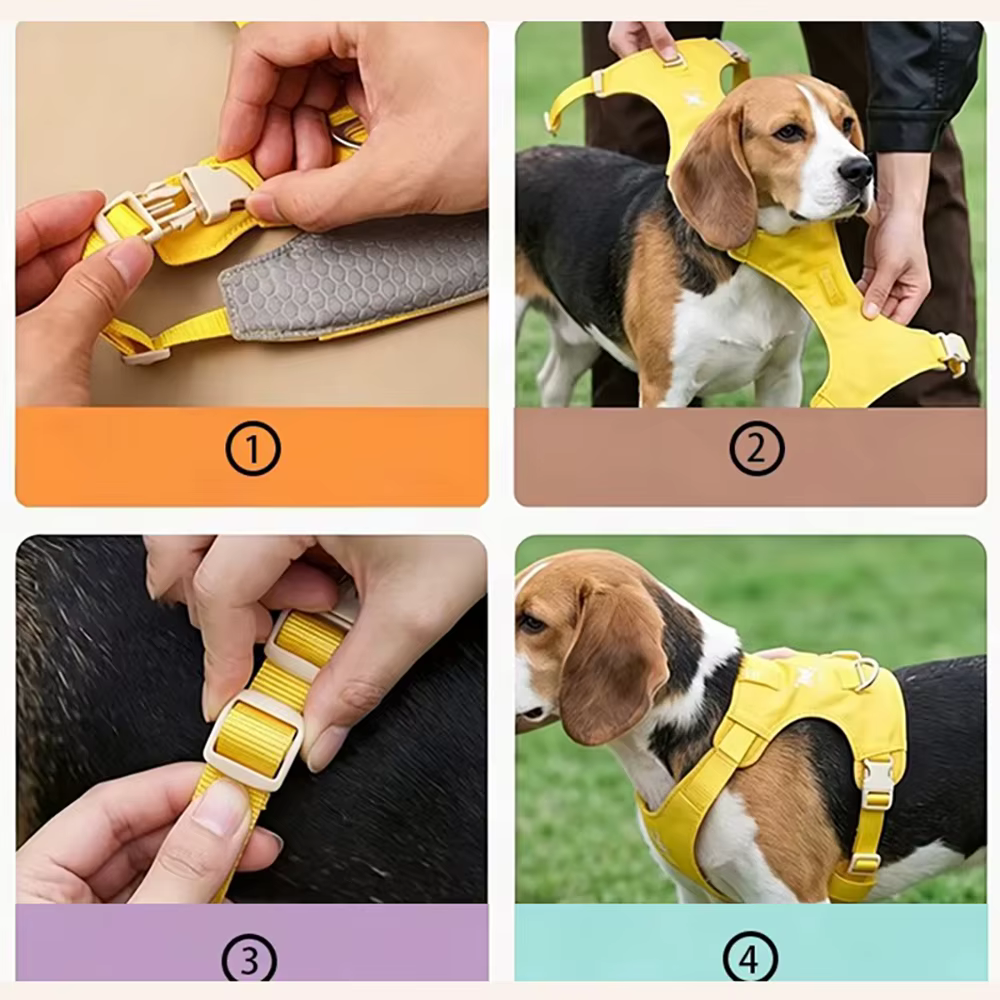 Harnais Confort & Laisse pour Chien — Léger et Ajustable