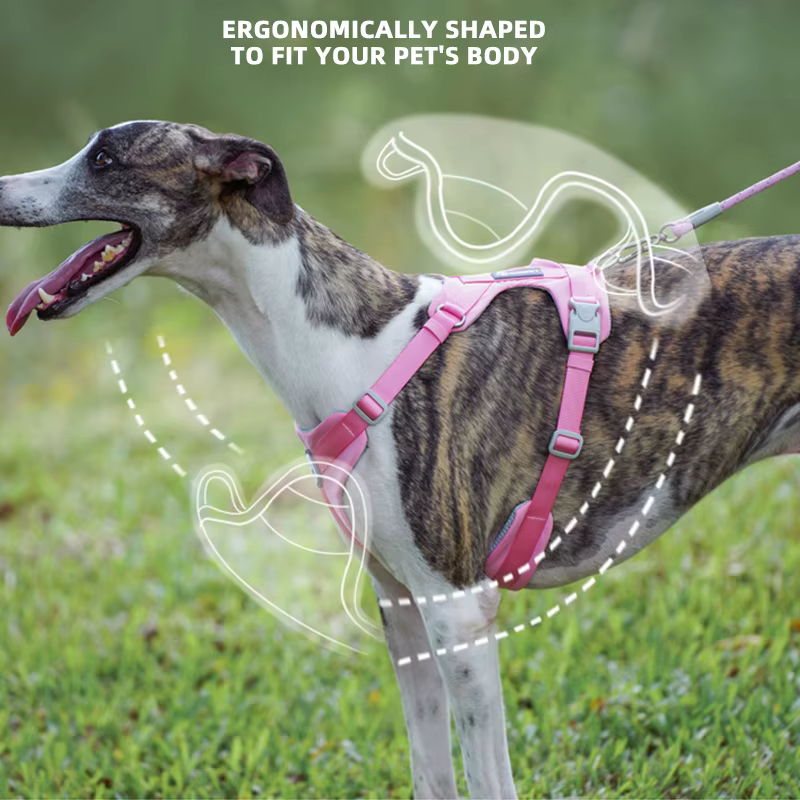 Harnais Ergonomique & Respirant pour Chien | Confort & Sécurité