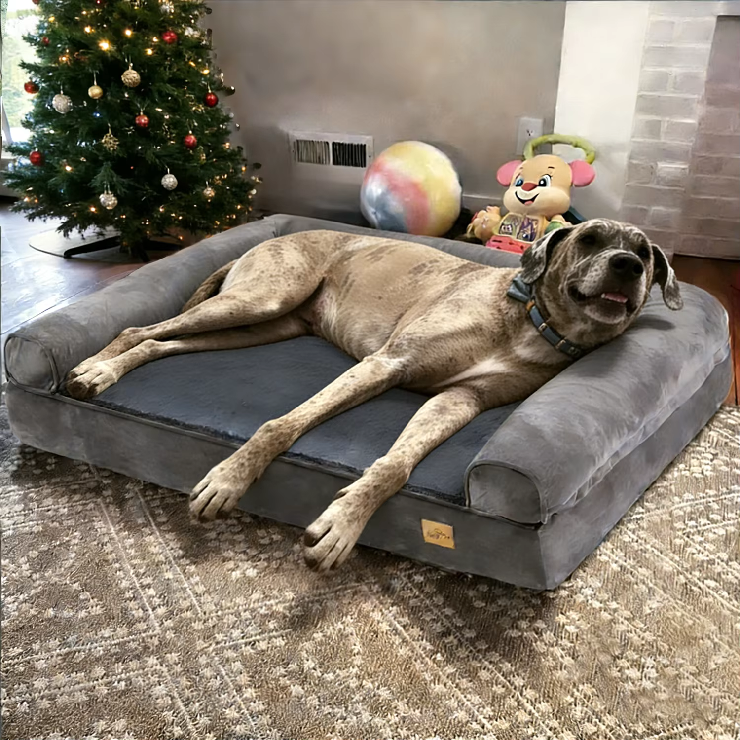 lit Orthopédique Memory  pour chien