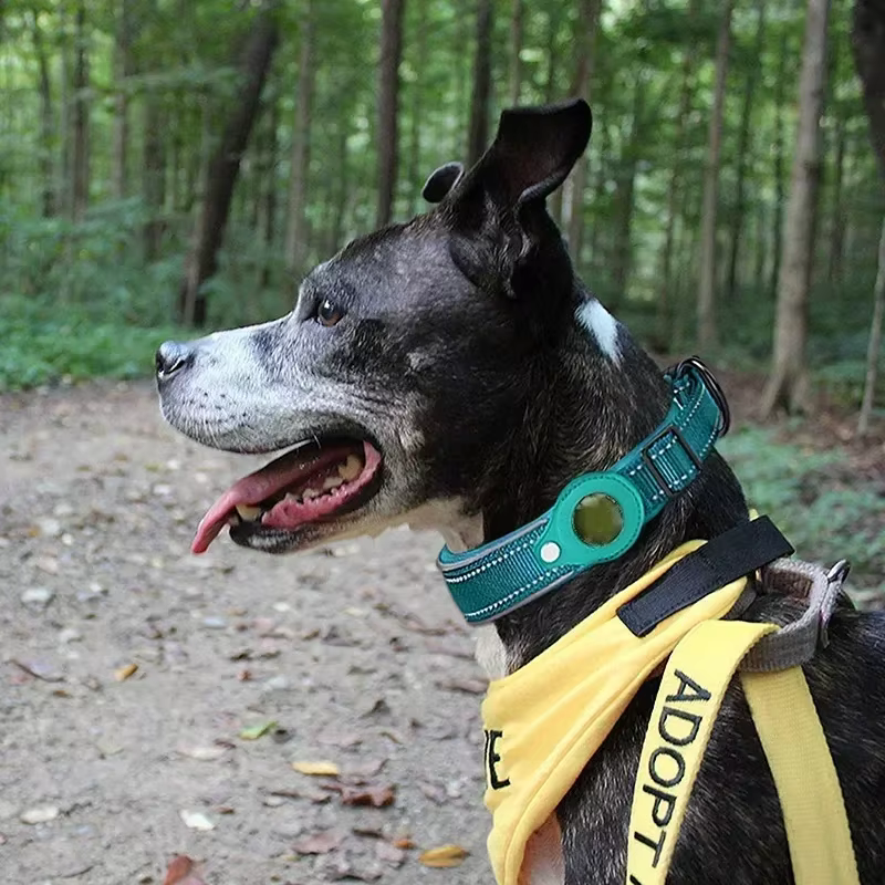 COLLIER ANTI PERTE POUR CHIEN