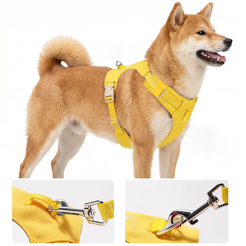Harnais Confort & Laisse pour Chien — Léger et Ajustable