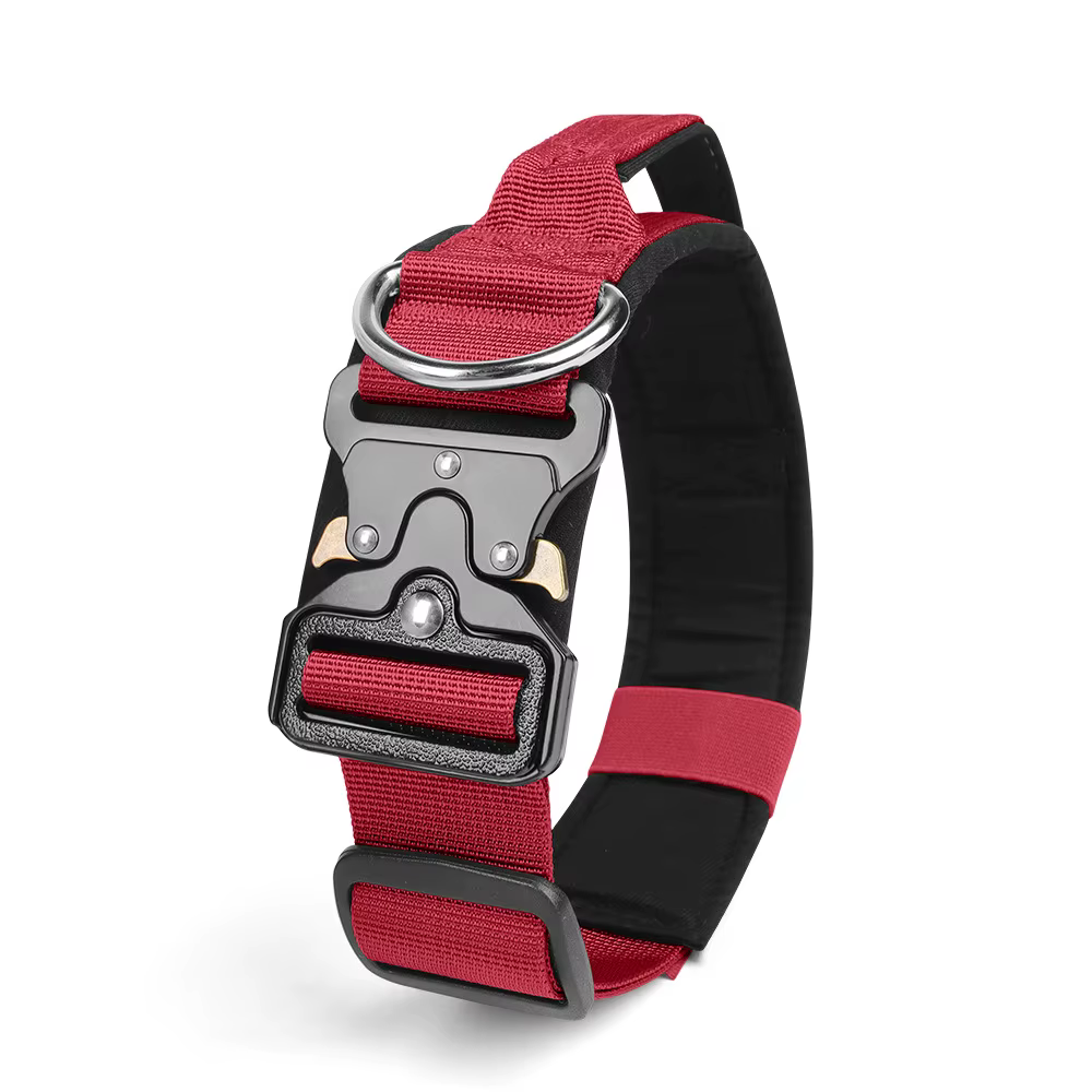 Collier Tactique pour Chien Réglable et Robustesse