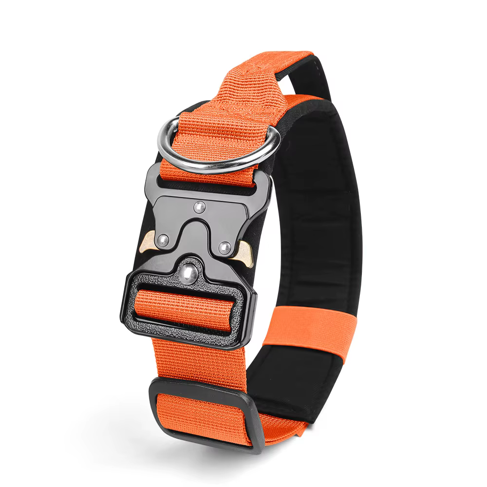 Collier Tactique pour Chien Réglable et Robustesse
