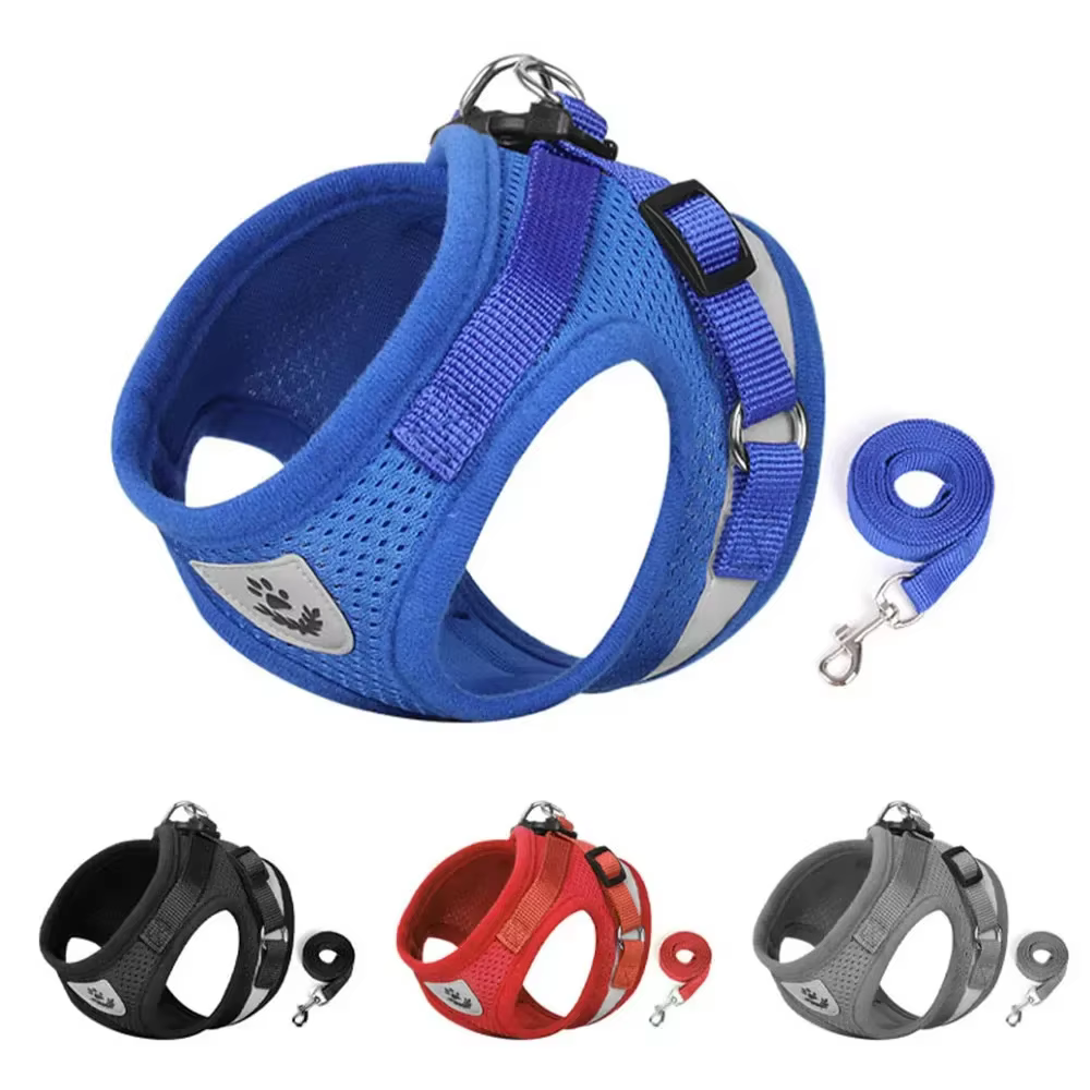 Harnais anti-traction et laisse pour chat et petit chien  réfléchissant