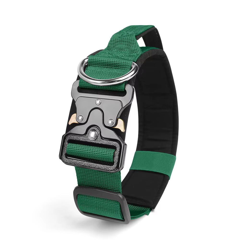 Collier Tactique pour Chien Réglable et Robustesse