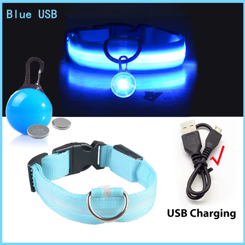collier lumineux pour chien