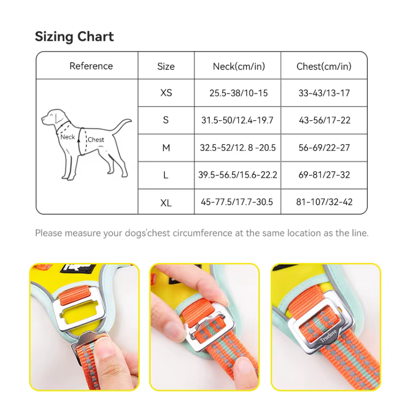 Harnais Ajustable Training pour chien