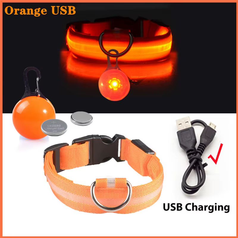 collier lumineux pour chien