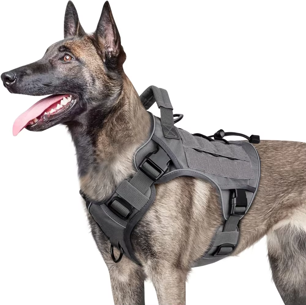 Harnais Militaire Tactique pour Chien | Anti-Traction & Réfléchissant