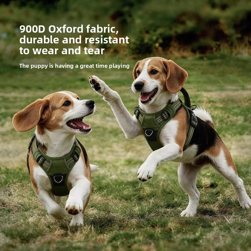 Harnais Anti-Traction Chien & Laisse Assortie