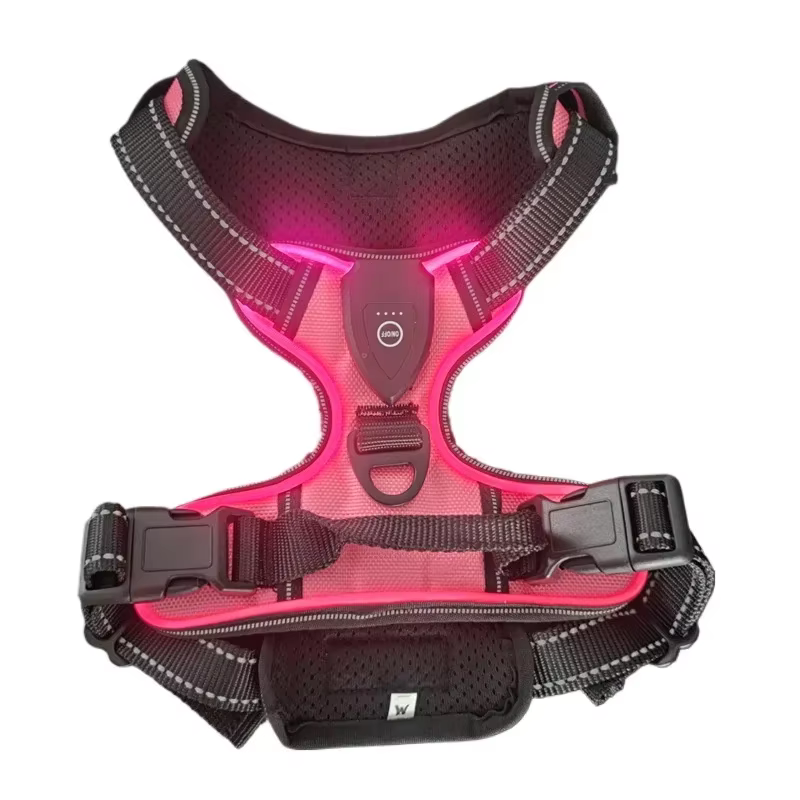 Harnais LED pour chien – Sécurité et visibilité lors des promenades