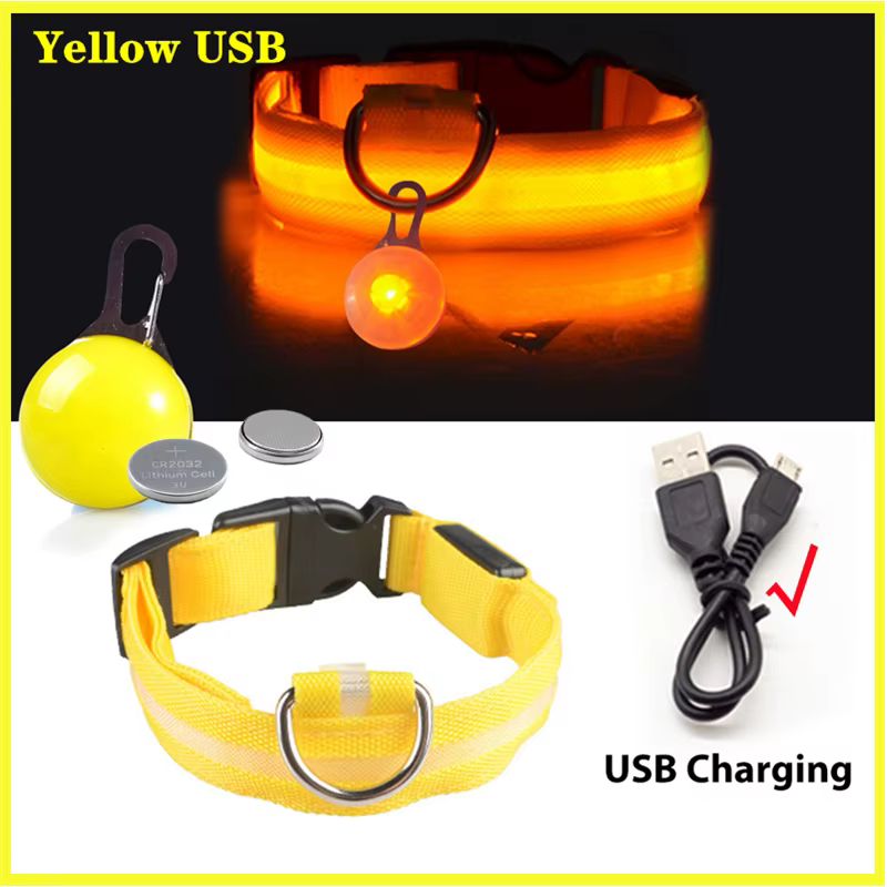 collier lumineux pour chien