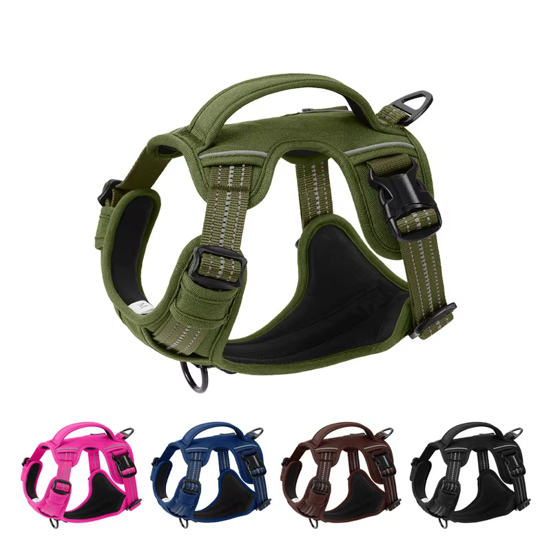 Harnais Anti-Traction Chien & Laisse Assortie