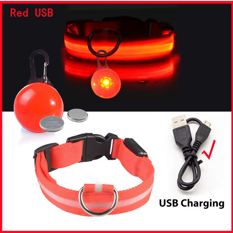 collier lumineux pour chien