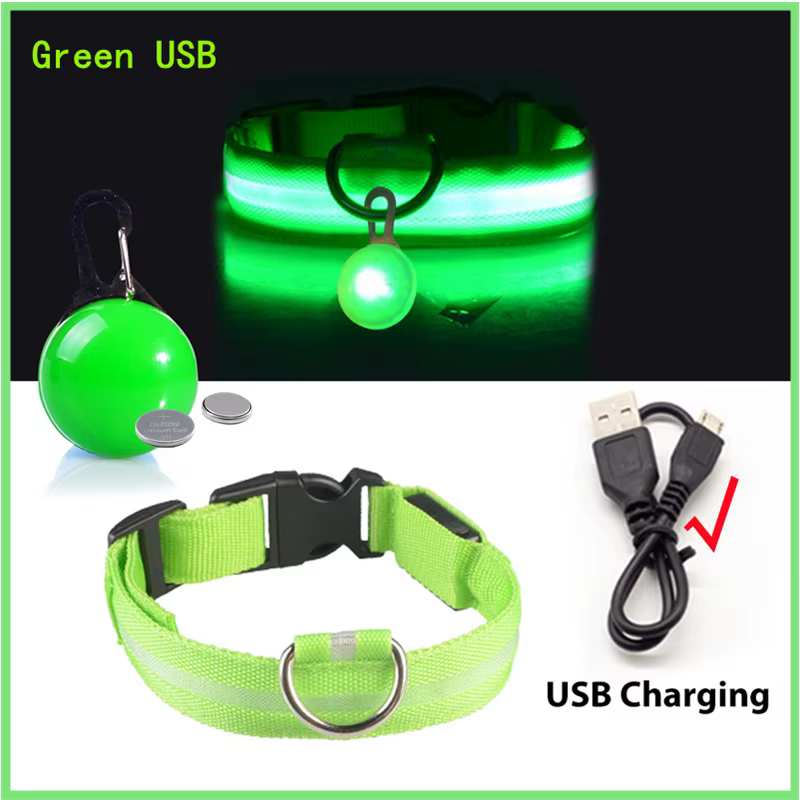 collier lumineux pour chien