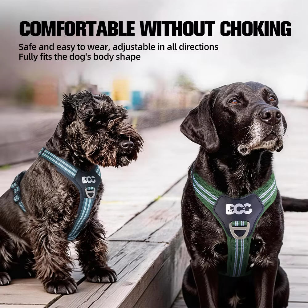 Harnais réfléchissant pour chien avec support AirTag intégré – Sécurité, confort et contrôle