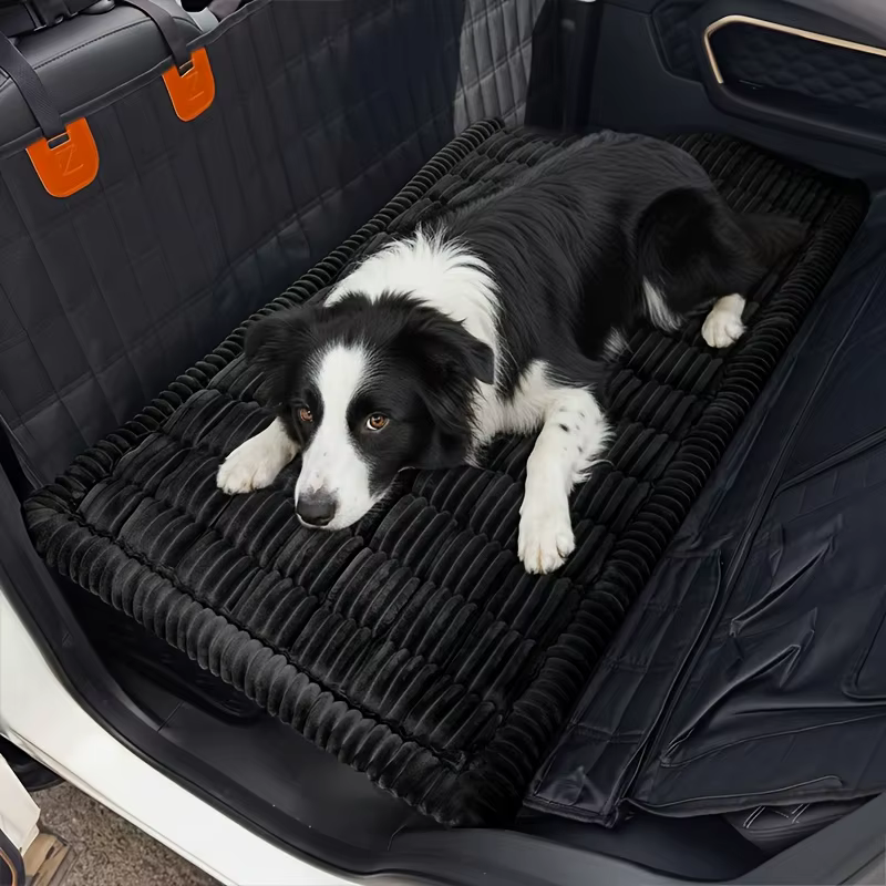 tapis de transport pour chien