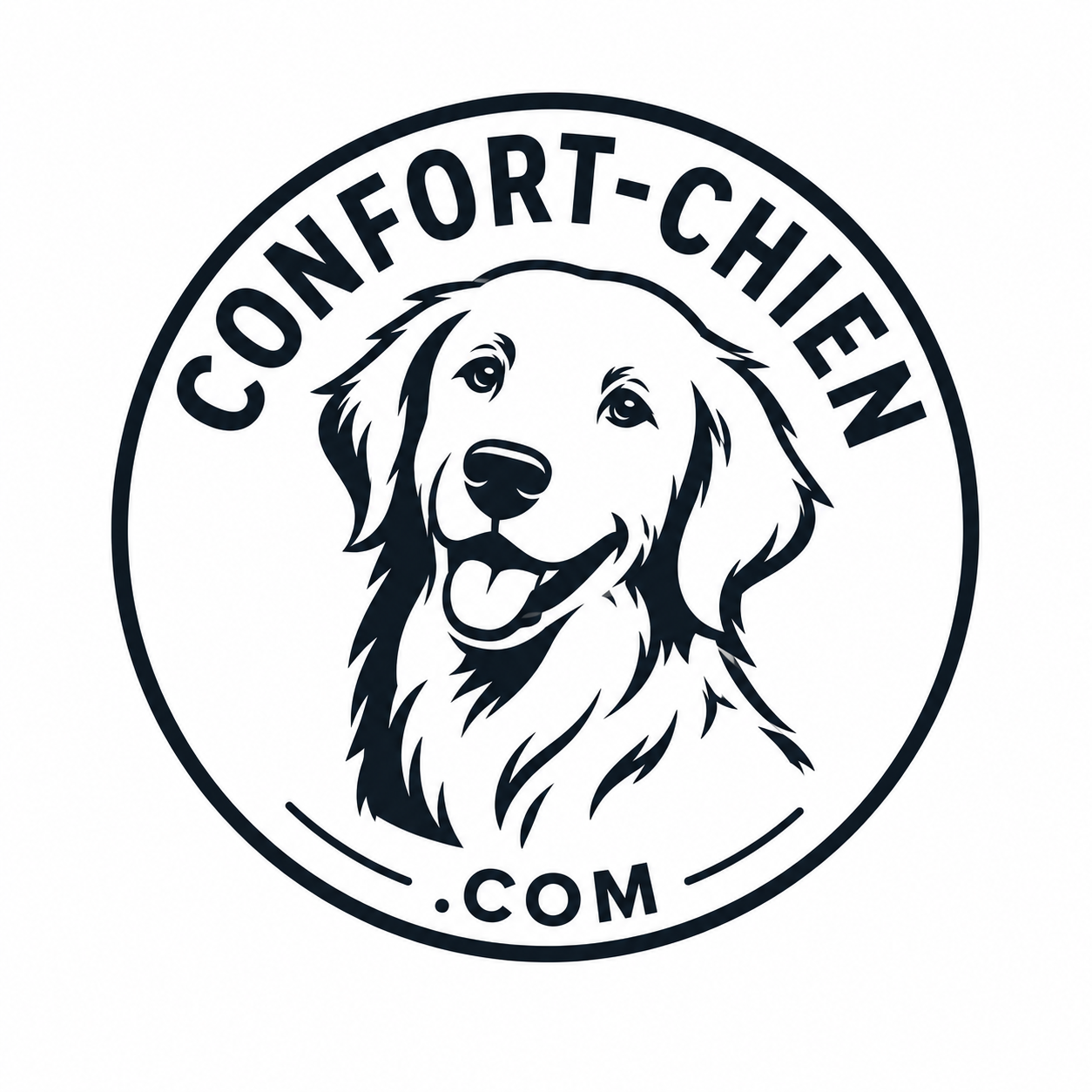 *Comment rafraîchir son chien pendant l'été ? | Conseils*