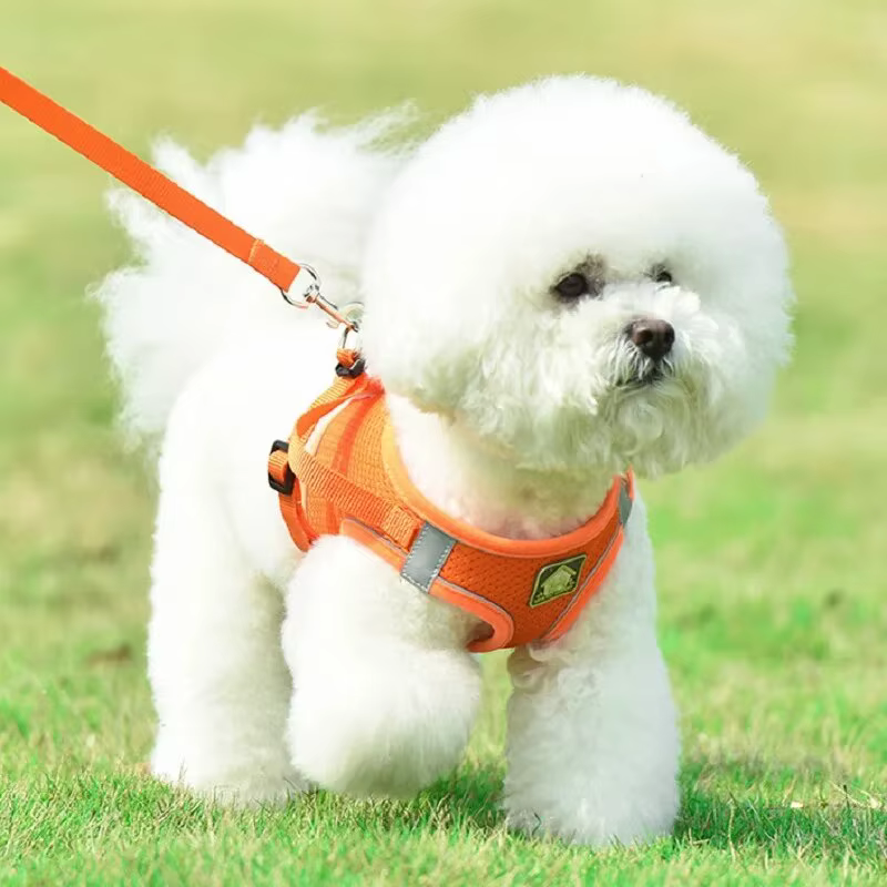 Harnais Anti-Traction Respirant pour Chien et Chat avec Laisse