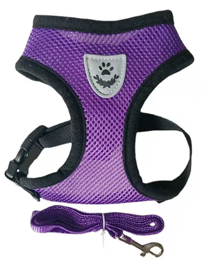 Harnais Respirant & Réfléchissant pour Chien et Chat avec Laisse Assortie