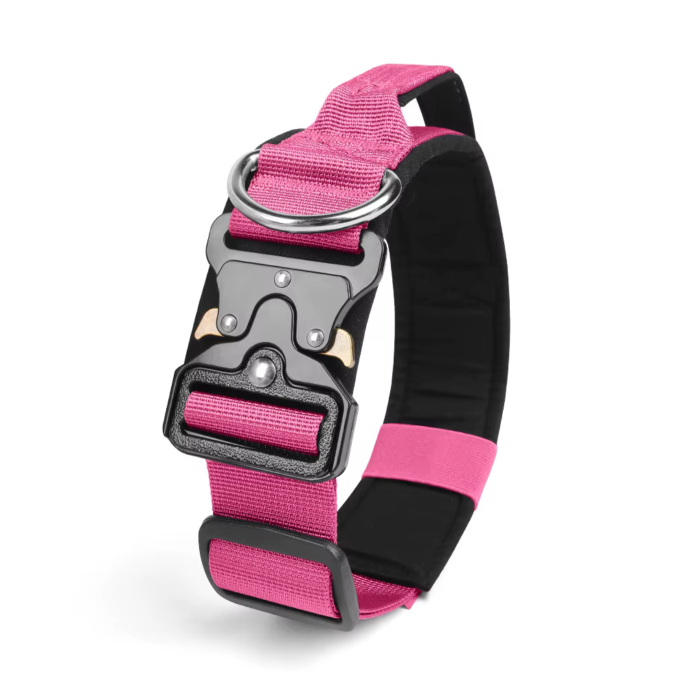 Collier Tactique pour Chien Réglable et Robustesse