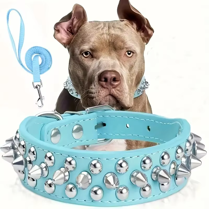 LAISSE POUR CHIEN