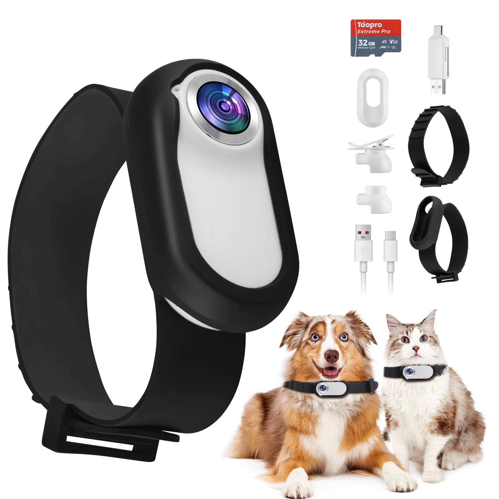 collier camera pour chien