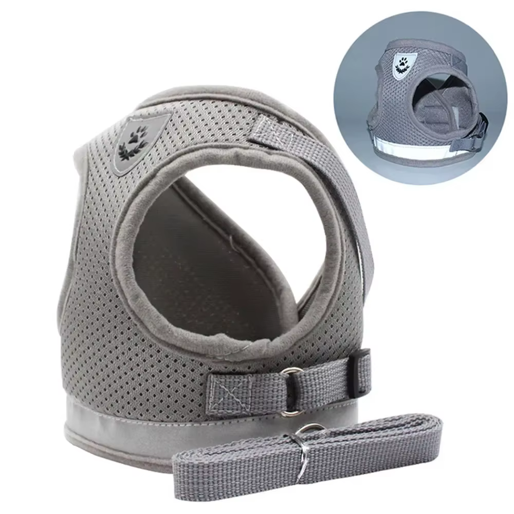 Harnais anti-traction et laisse pour chat et petit chien  réfléchissant