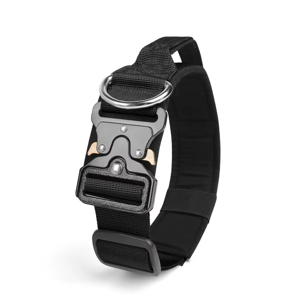 Collier Tactique pour Chien Réglable et Robustesse