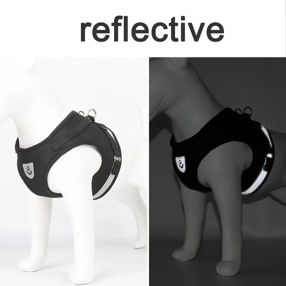 Harnais anti-traction et laisse pour chat et petit chien  réfléchissant