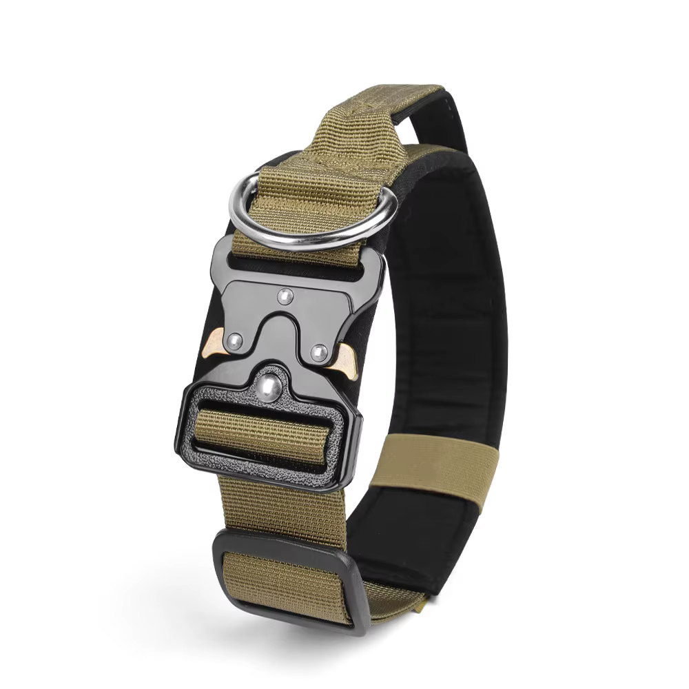 Collier Tactique pour Chien Réglable et Robustesse