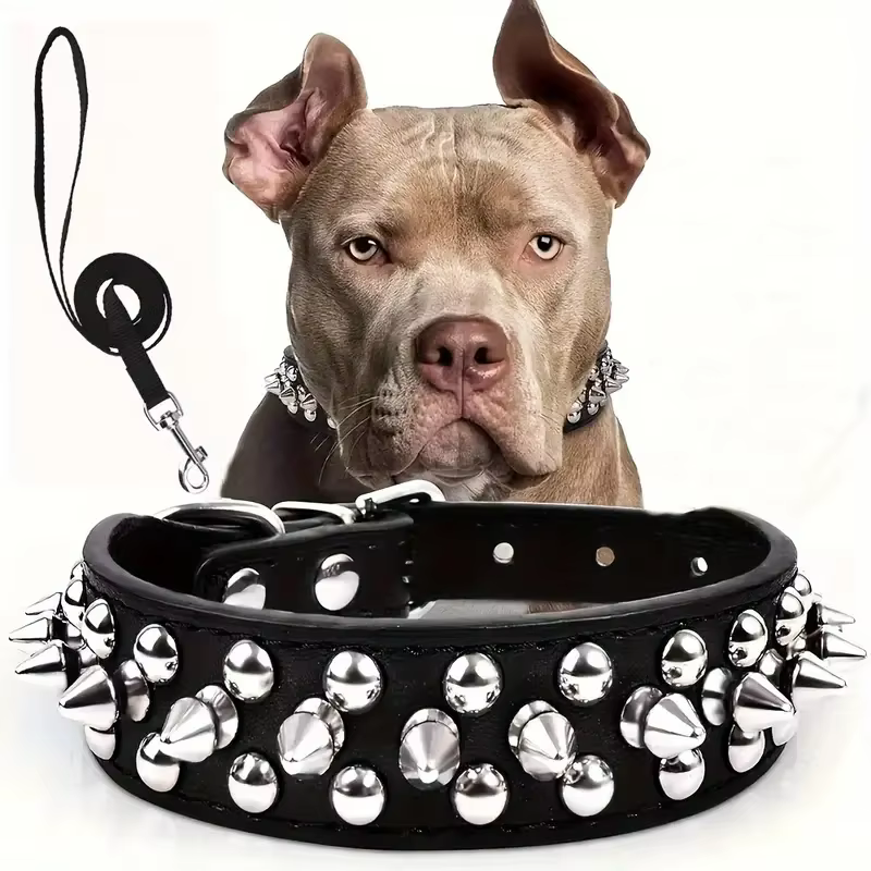 LAISSE POUR CHIEN