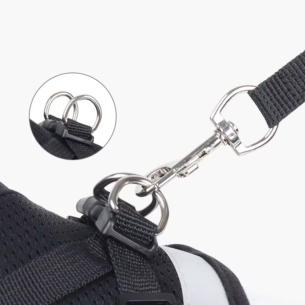 Harnais anti-traction et laisse pour chat et petit chien  réfléchissant