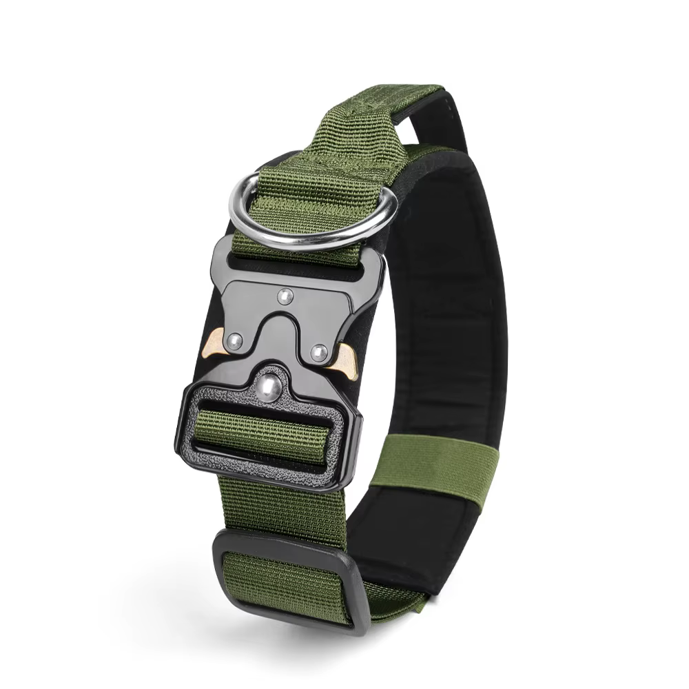 Collier Tactique pour Chien Réglable et Robustesse