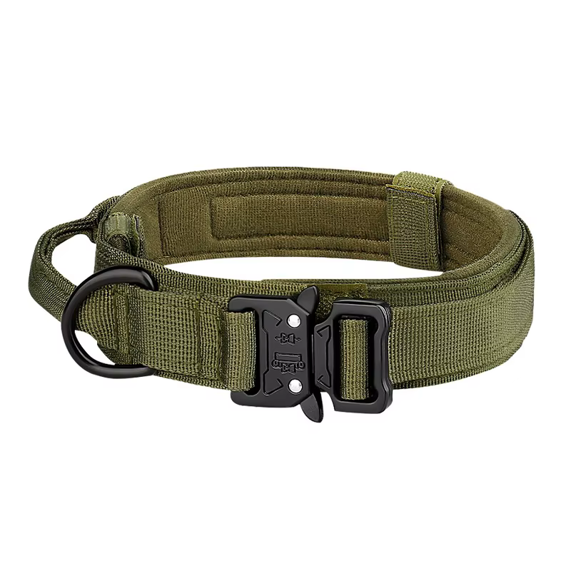 COLLIER POUR CHIEN
