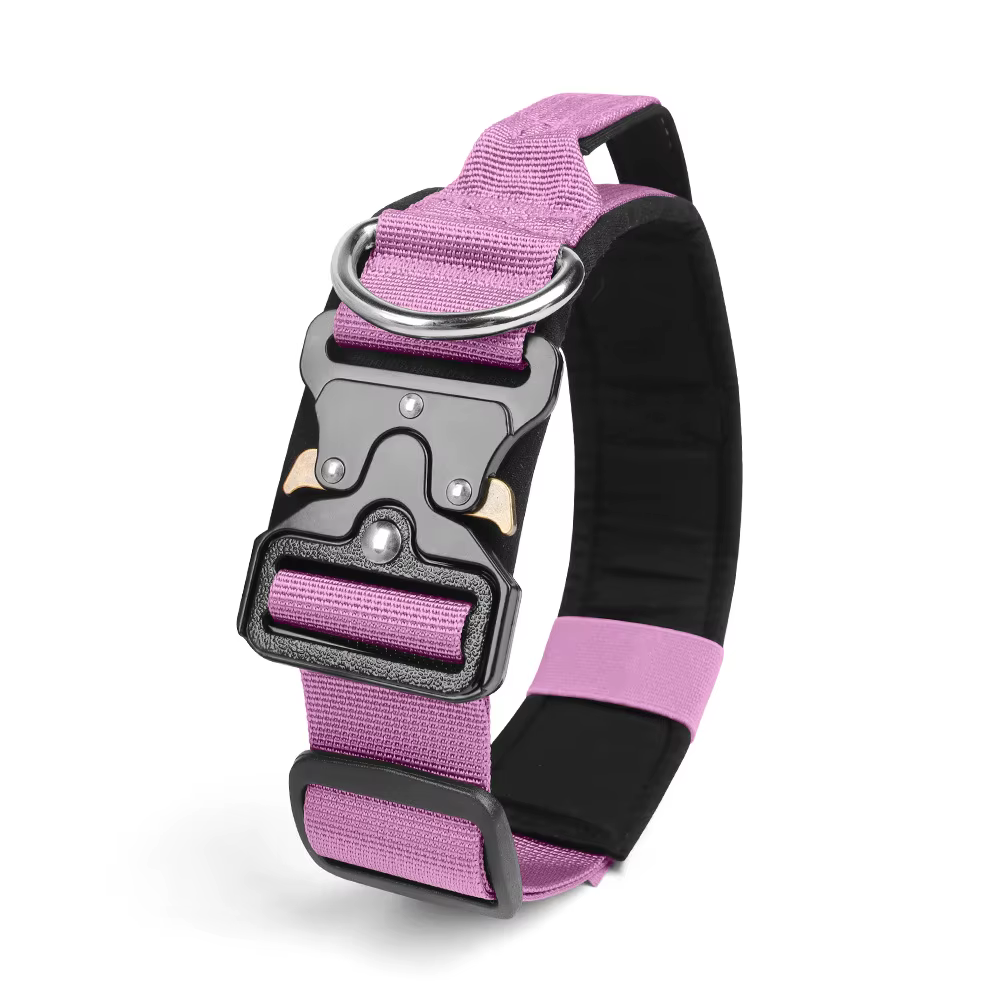 Collier Tactique pour Chien Réglable et Robustesse