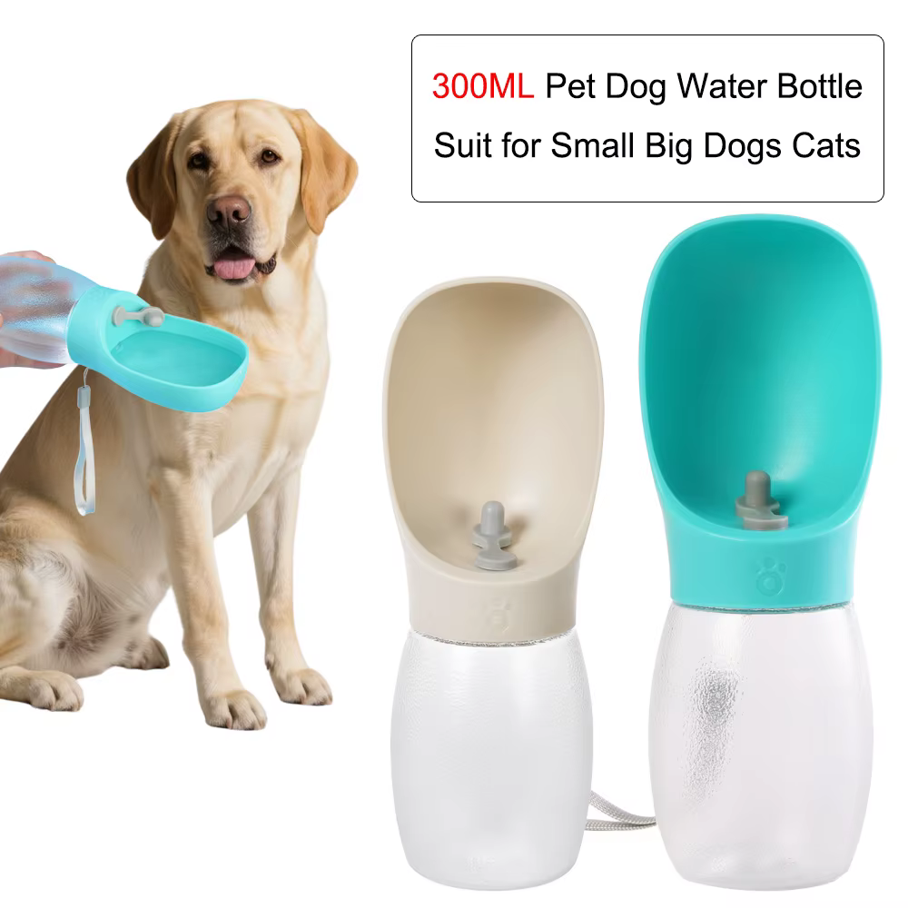 gourde pour chien