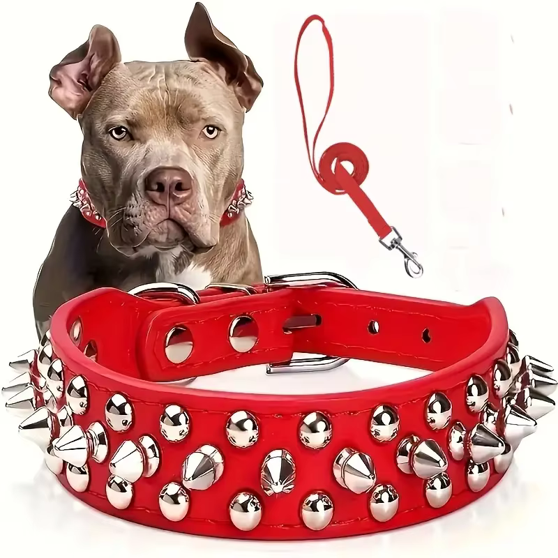 LAISSE POUR CHIEN