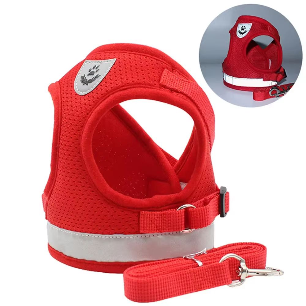 Harnais anti-traction et laisse pour chat et petit chien  réfléchissant