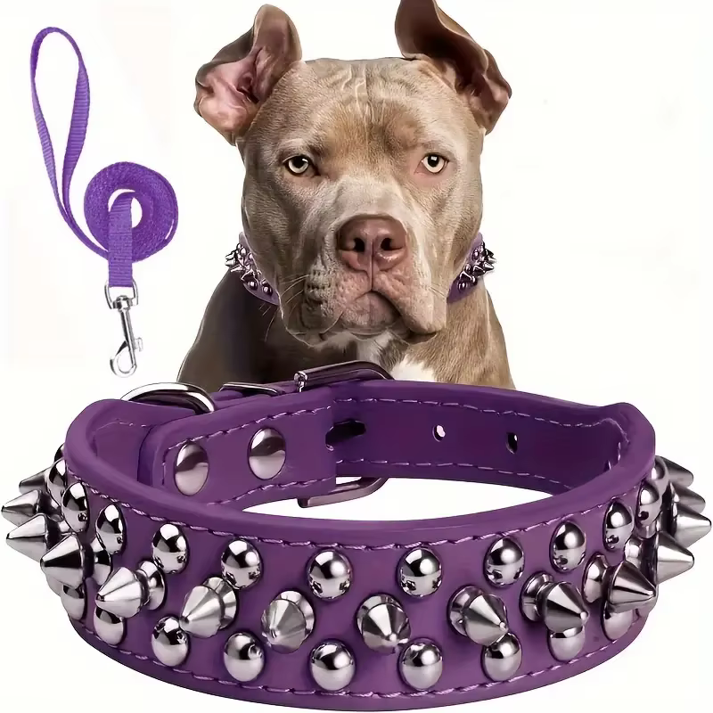 LAISSE POUR CHIEN