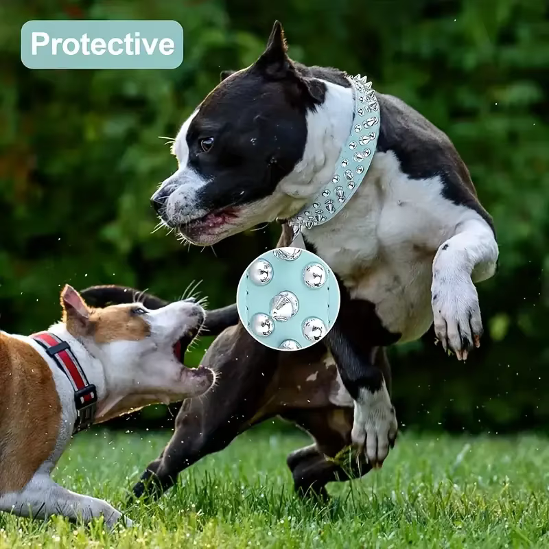 LAISSE POUR CHIEN
