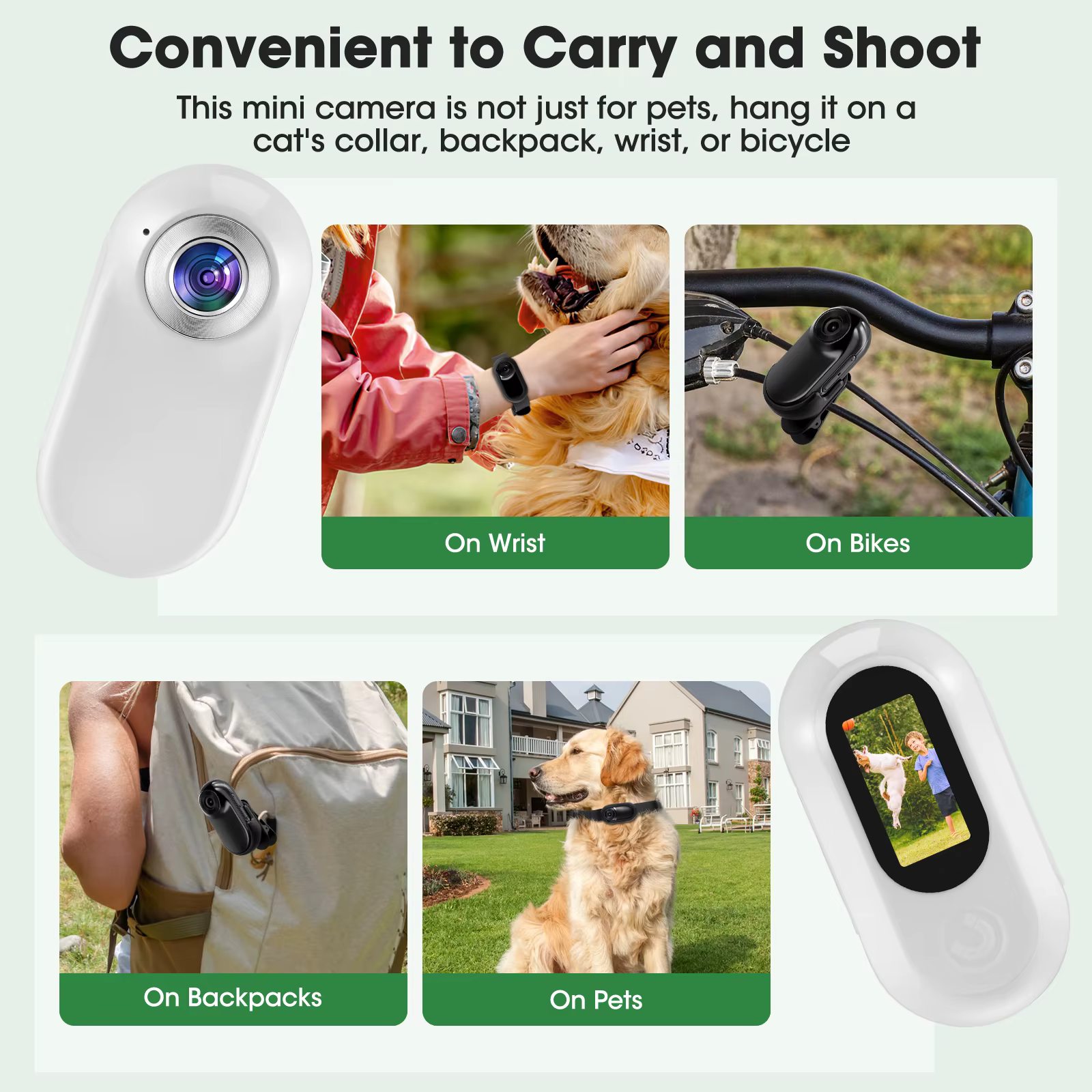 collier camera pour chien