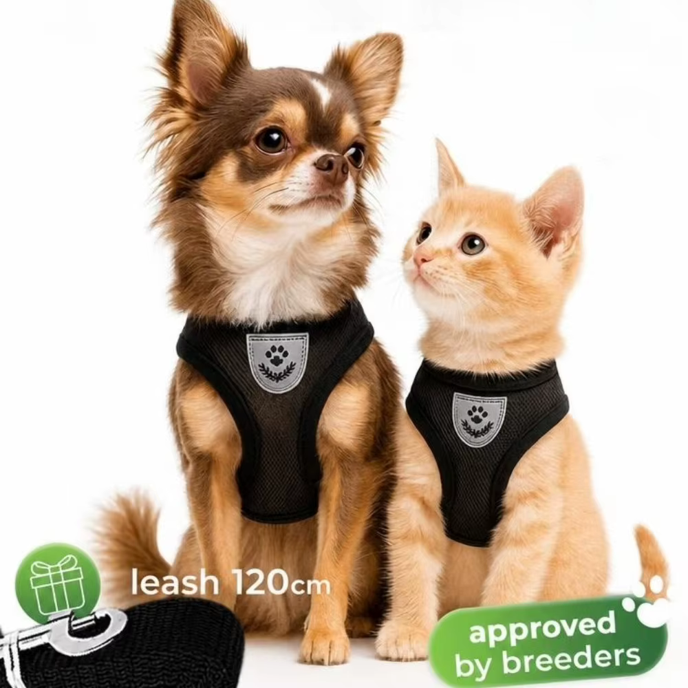 Harnais Respirant & Réfléchissant pour Chien et Chat avec Laisse Assortie