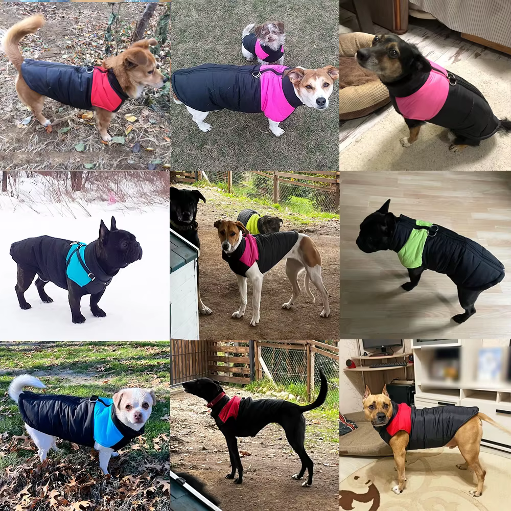 Manteau pour chien chaud et protecteur – Veste d’hiver avec bandes colorées