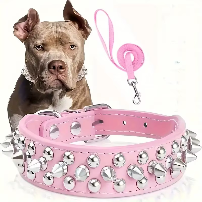 LAISSE POUR CHIEN